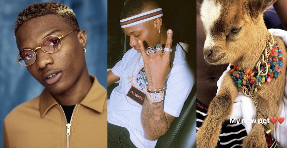 WHAT DO YOU THINK OF WIZKID GETTING HIMSELF A GOAT AS A PET?